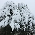Ruralfranxuli * Avellanes