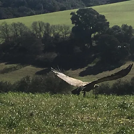 Ruralfranxuli
