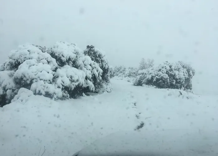 Εξοχικό σπίτι Ruralfranxuli Avellanes